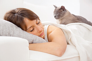 ¿Por qué tu gato duerme sobre ti?