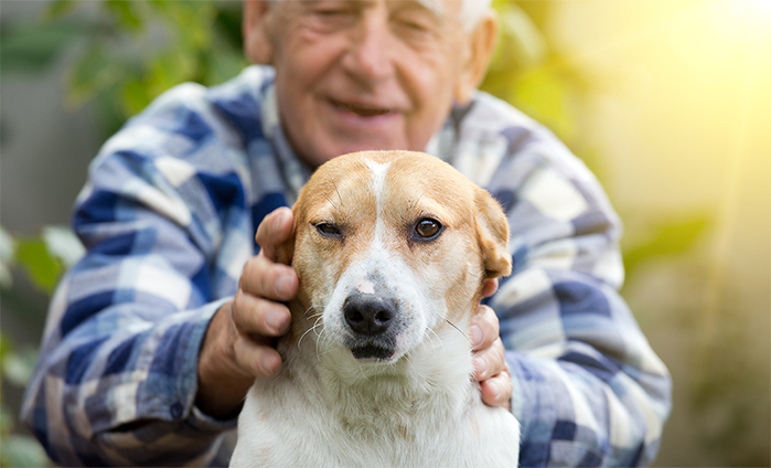 Cómo los perros mejoran la calidad de vida de las personas mayores