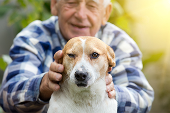 Cómo los perros mejoran la calidad de vida de las personas mayores